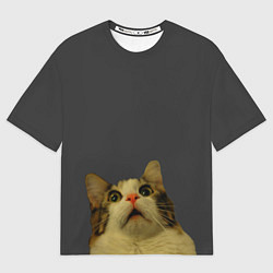 Футболка оверсайз женская Коте смотрит вверх, цвет: 3D-принт