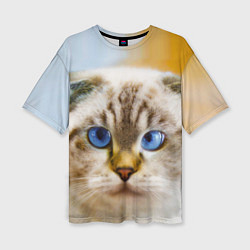 Женская футболка оверсайз Кошка породы шотландская вислоухая косоглазая