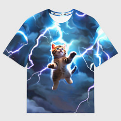 Женская футболка оверсайз Гром кот и молния