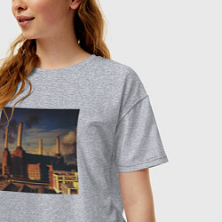 Футболка оверсайз женская Pink Floyd: Animals, цвет: меланж — фото 2