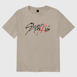 Женская футболка оверсайз STRAY KIDS BANGCHAN