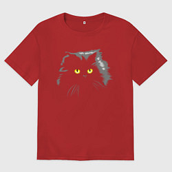 Женская футболка оверсайз Грозовой, кошак пушистый