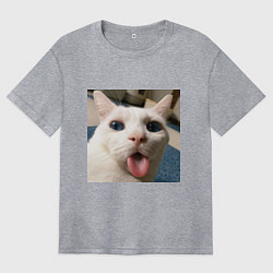 Футболка оверсайз женская Мем про кота, цвет: меланж