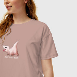 Футболка оверсайз женская Dino thats not much, цвет: пыльно-розовый — фото 2