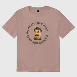 Футболка оверсайз женская Сталин Все по Плану, цвет: пыльно-розовый