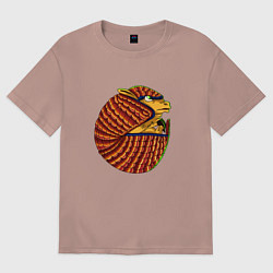 Футболка оверсайз женская Dasypodidae, цвет: пыльно-розовый