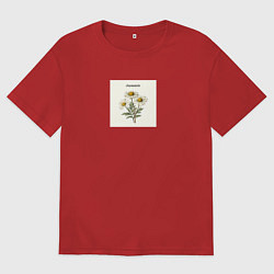 Футболка оверсайз женская Ромашки chamomile, цвет: красный