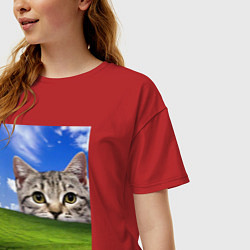 Футболка оверсайз женская Кот и безмятежность в Windows XP, цвет: красный — фото 2