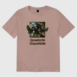 Футболка оверсайз женская Имперский рыцарь, цвет: пыльно-розовый