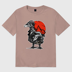 Женская футболка оверсайз BMW GS Гусь