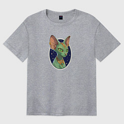 Футболка оверсайз женская Кот сфинкс на фоне звёздного неба, цвет: меланж