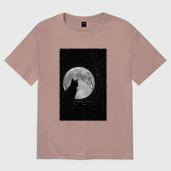 Футболка оверсайз женская Кот при луне, цвет: пыльно-розовый