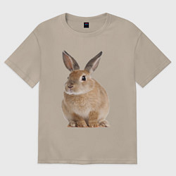 Футболка оверсайз женская Бежевый кролик, цвет: миндальный