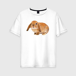 Футболка оверсайз женская Рыжий пушистый кролик, цвет: белый