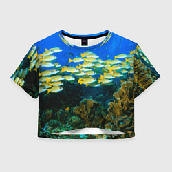 Футболка 3D укороченная женская Коралловые рыбки, цвет: 3D-принт