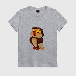 Футболка хлопковая женская Мудрая старая сова, цвет: меланж