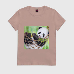 Футболка хлопковая женская Панда медвед, цвет: пыльно-розовый