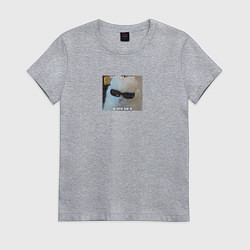 Футболка хлопковая женская Кот мем - и это не я, цвет: меланж