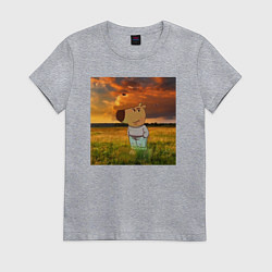 Футболка хлопковая женская Чисто чилловый парень, цвет: меланж