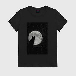Футболка хлопковая женская Кот при луне, цвет: черный