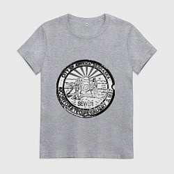 Футболка хлопковая женская Путешествие Небраска, цвет: меланж