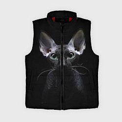 Женский жилет Сфинкс 2