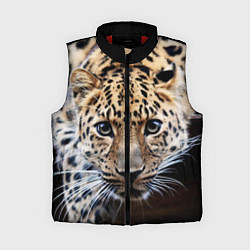 Женский жилет Дикая кошка