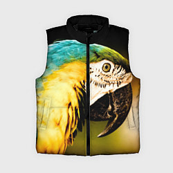 Женский жилет Улыбка попугая, цвет: 3D-черный