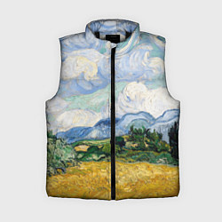 Женский жилет Ван Гог Картина, цвет: 3D-черный