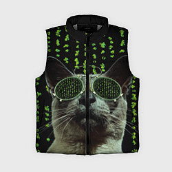 Женский жилет Кот в матрице