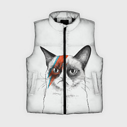 Женский жилет David Bowie: Grumpy cat