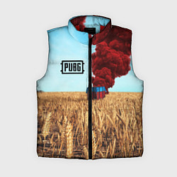 Женский жилет PUBG Box, цвет: 3D-красный