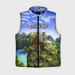 Женский жилет Майнкрафт: Виктор, цвет: 3D-черный