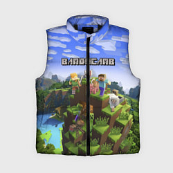 Женский жилет Майнкрафт: Владислав, цвет: 3D-черный
