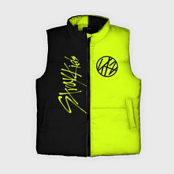 Женский жилет Stray Kids, цвет: 3D-черный