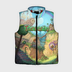 Женский жилет Terraria, цвет: 3D-красный