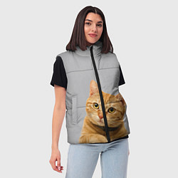 Женский жилет Рыжий котик, цвет: 3D-красный — фото 2