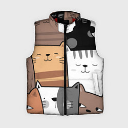 Женский жилет Котейки, цвет: 3D-красный