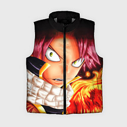 Женский жилет FAIRY TAIL ХВОСТ ФЕИ, цвет: 3D-светло-серый