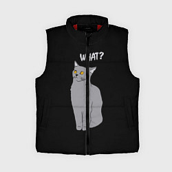 Женский жилет What cat