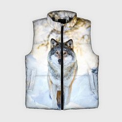 Женский жилет Я зимой, цвет: 3D-черный