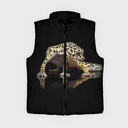 Женский жилет ЭУБЛЕФАР EUBLEPHARIS