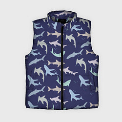 Женский жилет Акулы разные, цвет: 3D-светло-серый