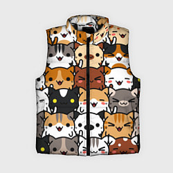 Женский жилет Коты и котики
