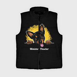 Женский жилет Пинчер Miniature Pinscher