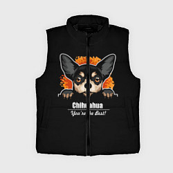 Женский жилет Чихуахуа Chihuahua