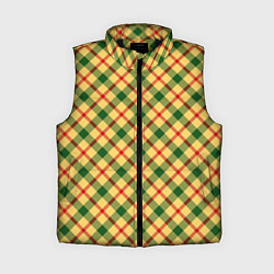 Женский жилет Желто-зеленая Клетка