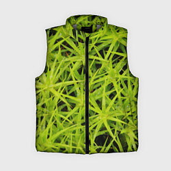 Женский жилет Сфагнум, цвет: 3D-светло-серый