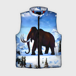 Женский жилет Мамонт ледникового периода, цвет: 3D-красный
