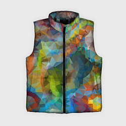 Женский жилет Color pattern